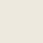 SANDERSON PAINT GREY BIRCH LT.  43